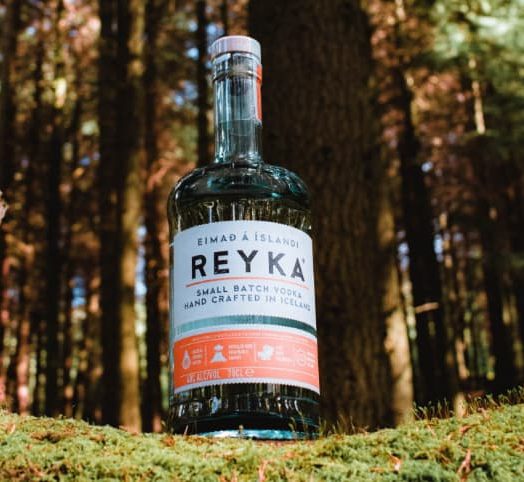 Reyka alcohol glass bottle made by Verallia, sitting in a forest